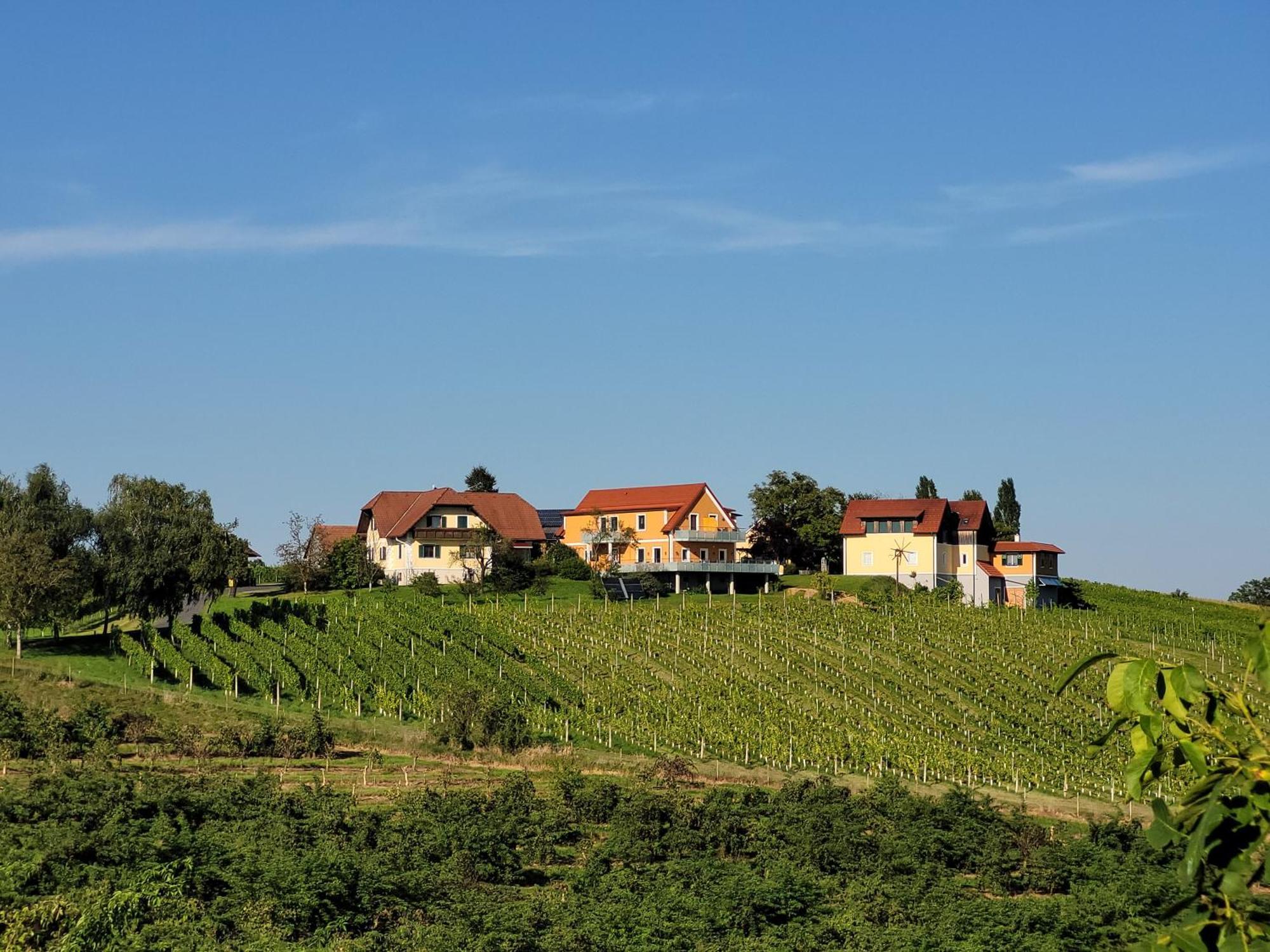 Sankt Peter am Ottersbach Weinhof Reichmann Bed & Breakfast エクステリア 写真